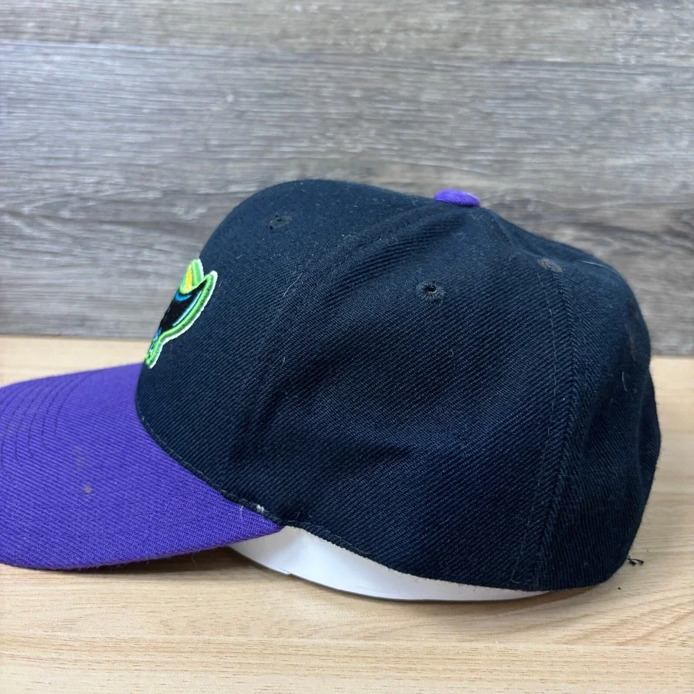 Vintage Tampa Bay Devil Rays Hat Snap Back Black MLB Baseball Sports Specialties